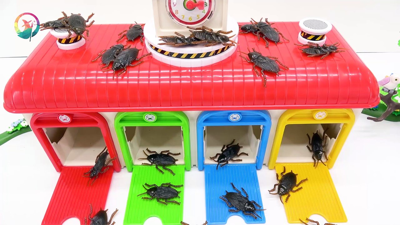 There's a little bus TAYO. There's a cockroach in town.