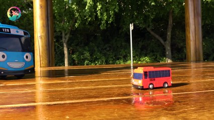 TAYO in REAL LIFE,  TAYO Chased the PIGEON along the Riverside! #outdoor play  ♥ [토이위자드] TOY WIZARD