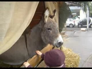Marché de Noel 2007 BC