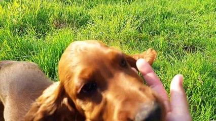 Le 10 juin, découverte avec les grandes copines