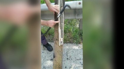 La Policía Foral halla droga camuflada en palés que transportaba un camión a su paso por Navarra. NAVARRACOM