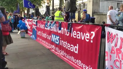 Brexit Karşıtlarından Protesto Yürüyüşü