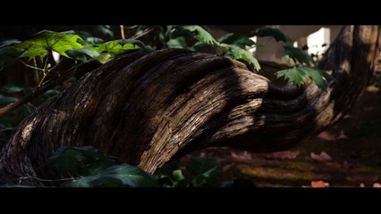 Halo Infinite - E3 2018 - Announcement Trailer