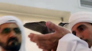 This video of a bird playing with two of Dubai's leaders is so cute