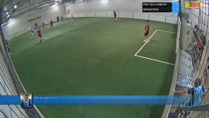 But de julien (0-1) -  PRO TECH HABITAT Vs BANQSTERS - 11/06/18 21:00 - LIGUE 1 - Poitiers Game Parc