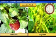 (6)CBSE Class 11 Biology, Plant Growth and Development – 6, Effect of Light and Temperature on Plant