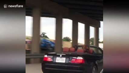 This is probably the world's coolest dog