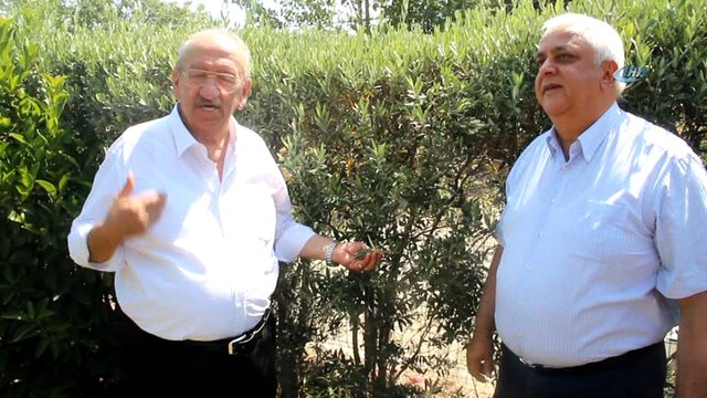 - Zeytinyağı üreticisi ucuz zeytinyağı için KDV’de indirim bekliyor