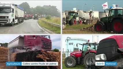 Les agriculteurs en colère contre l'huile de palme de Total