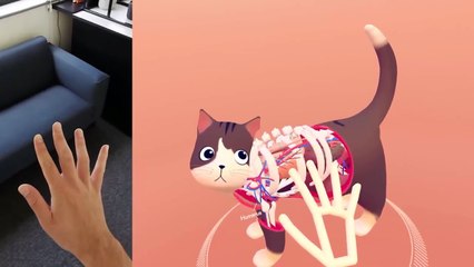 Cat Explorer en réalité virtuelle