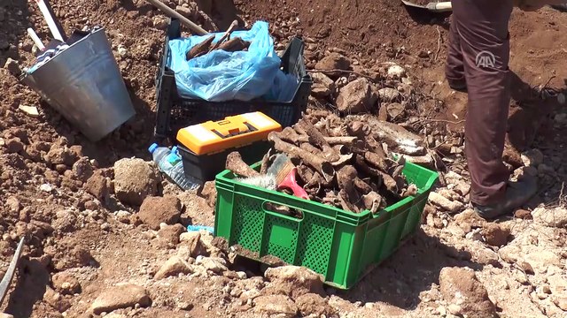 İnşaat kazısında insan kemikleri ve sikke bulundu - DENİZLİ