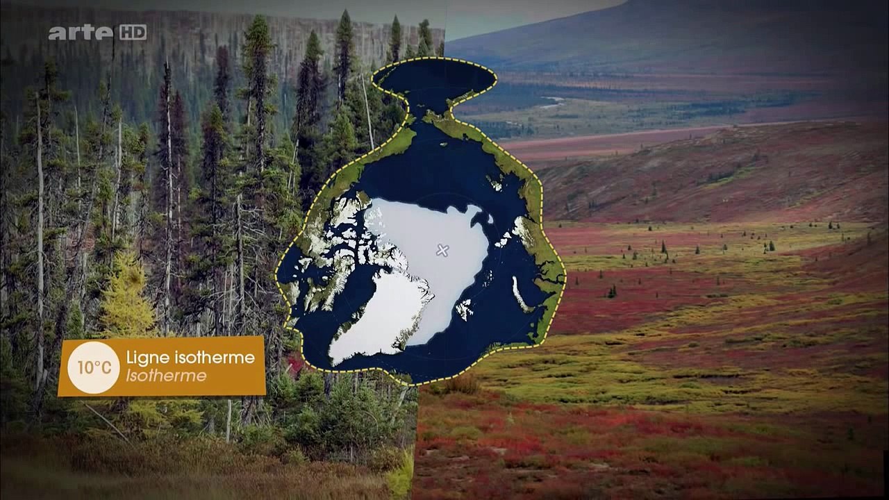 ' Die Arktis rückt ins Zentrum.' - Mit offenen Karten | der Wolpertinger.