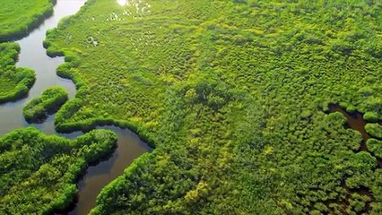 COSPETROGAZ - Etat des lieux du pétrole et du gaz au Sénégal