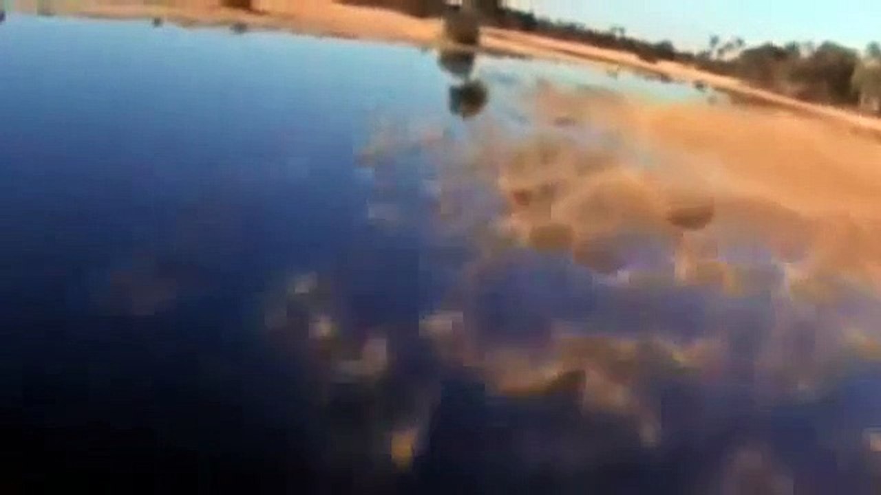 African Lions - Lions Documentary (National Geographic)