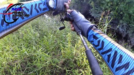 Ep # 19 SERUNYA NGABUBURIT SAMBIL CASTING GABUS