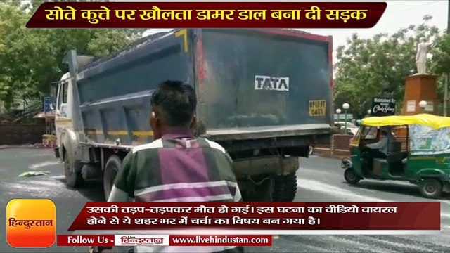 Road has been made by putting asphalt on sleeping dog in Agra