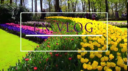 VLOG  ЛЕТНИЕ КАНИКУЛЫ НА МОРЕ! ИЮНЬ 2018