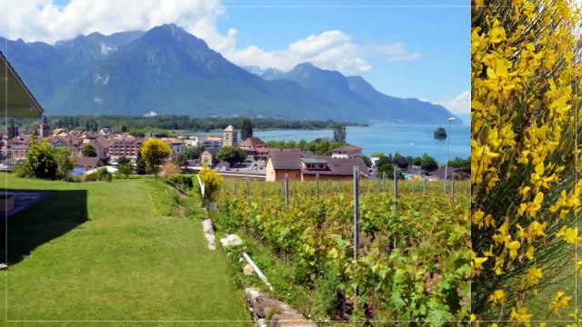 A vendre - Maison - Villeneuve (1844) - 175m²