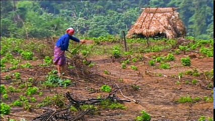 Laos Wonderland - The Secrets of Nature