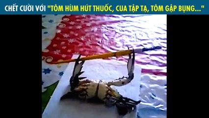 CHẾT CƯỜI VỚI "TÔM HÙM HÚT THUỐC, CUA TẬP TẠ, TÔM GẬP BỤNG..."