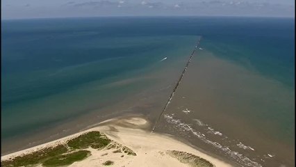 Water at Galveston's beaches turned blue green. Here's why
