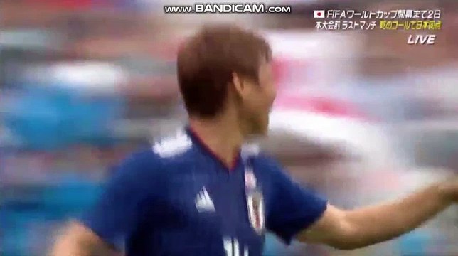 Takashi Inui Second goal ~ Paraguay vs Japan 1-2