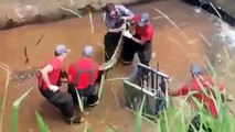 Des pompiers luttent contre un anaconda trouvé au fond d'un canal d'eaux usées