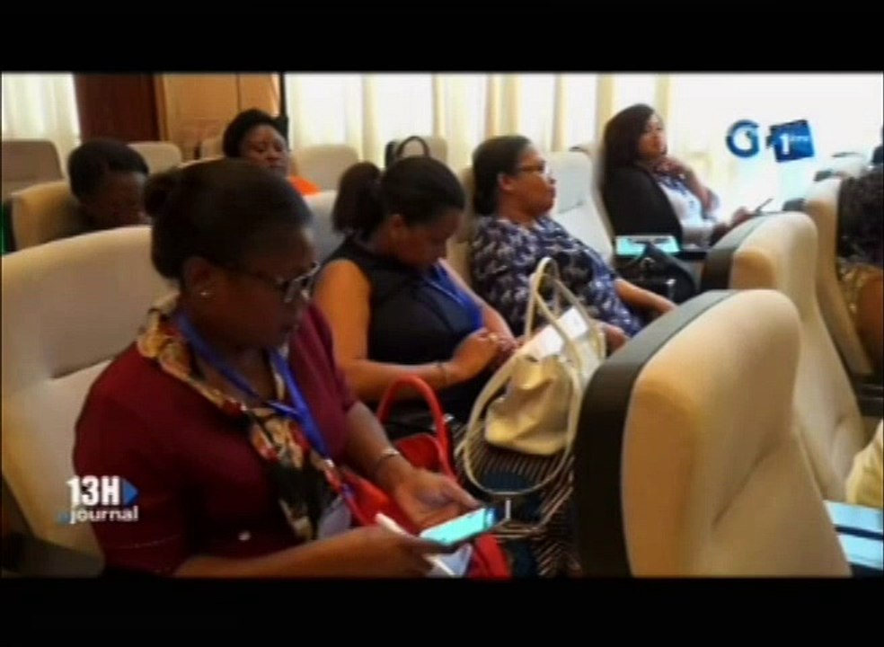 RTG/Atelier de formation sur la participation démocratique des femmes et des jeunes aux échéances électorales