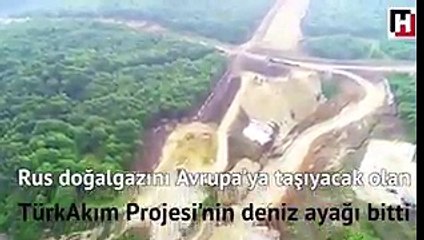 Hürriyet'te Demirören dönemi; 'orman kıyımı' haberi, hükümeti kızdırır diye yayından kaldırıldı!