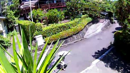 EDR June #12 2018 car stops and helicopter sounds