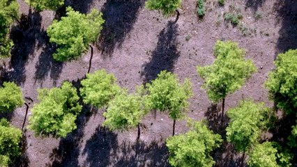 freekickerz vs Antoine Griezmann - Penalty Football Challenge
