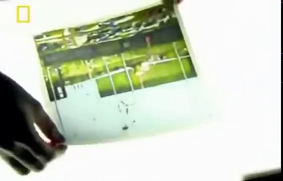 Tuż przed tragedią - lot 191 do Chicago, Lektor PL