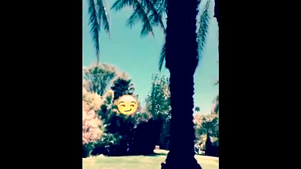 Chloe Moretz Funny moments