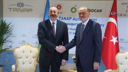 Cumhurbaşkanı Erdoğan, Aliyev ve Vuçiç ile görüştü