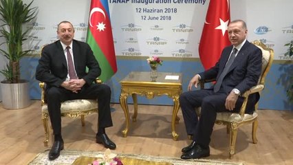 Cumhurbaşkanı Erdoğan, Aliyev ve Vuçiç ile Görüştü