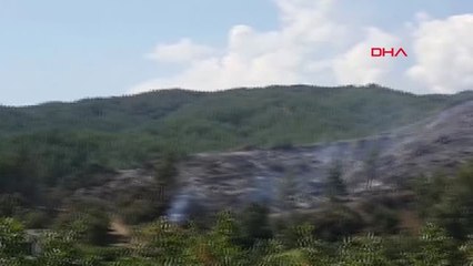 Muğla'da Korkutan Orman Yangın