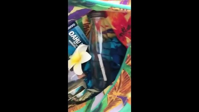 Daughter surprises parents with a trip to Hawaii