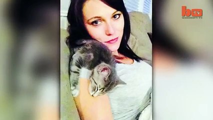 Dog Vs Cat Cute 'Ninja' Kitten Shows Doberman Who's Boss