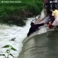 溺れかけの犬を、濁流に入り助けた男たち。