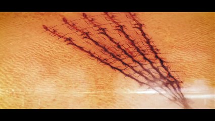 TERA - Gunner Release Date Trailer | PS4