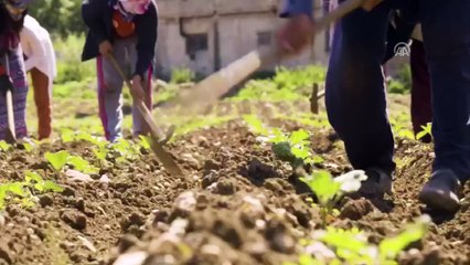 AK Parti'den Güneydoğu'ya özel klip (2) - ANKARA