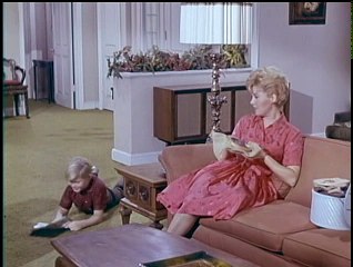 HAZEL · S04 E23 · Hazel's Day in Court