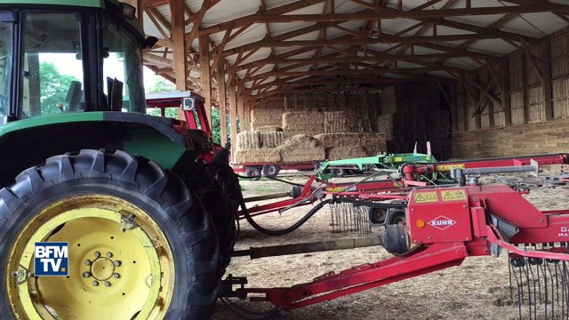 Intempéries: les agriculteurs en difficulté