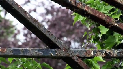 Most Haunted S19E09 Standon Hall (Part-2)