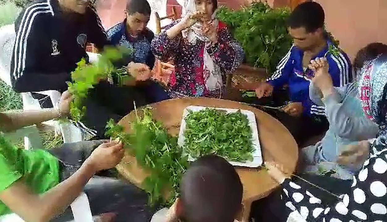 video-1528861387
