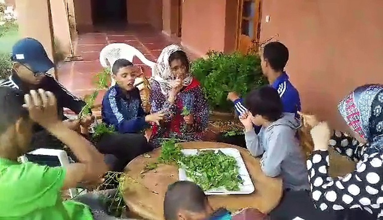 Atelier effeuillage des plantes aromatiques