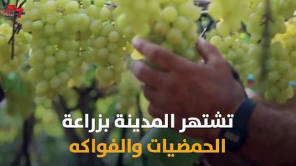 مدينة #غزة هاشم.... تعرف على تاريخها وحاضرها