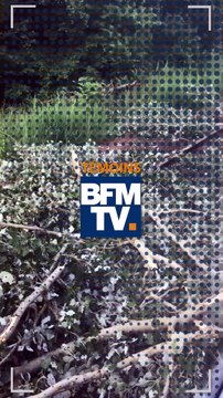 Les images du RER C qui a percuté des branches d'arbres ce matin dans l'Essonne