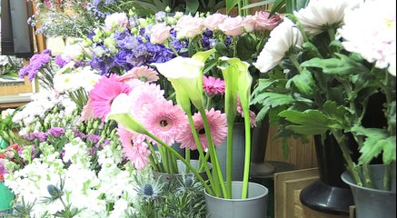 Meet Pat & Debbie at Wylde Green Florist!