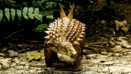 The oldest dinosaur has been discovered in Mexico